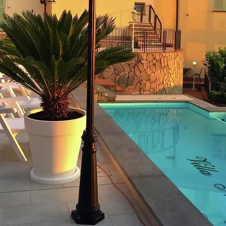 Antonina Villa *